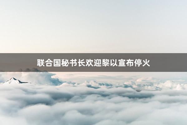 联合国秘书长欢迎黎以宣布停火