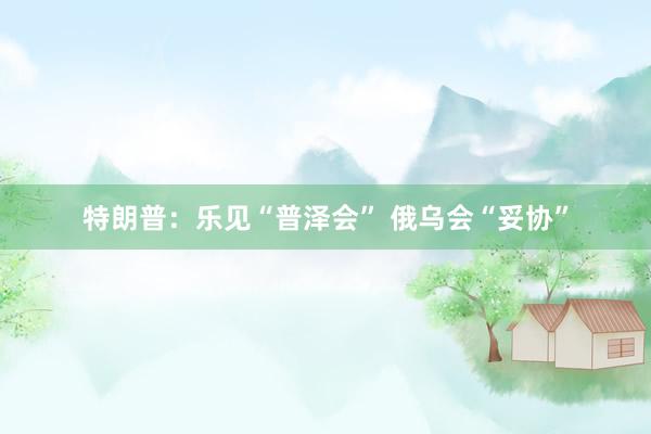 特朗普：乐见“普泽会” 俄乌会“妥协”