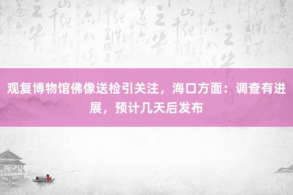 观复博物馆佛像送检引关注，海口方面：调查有进展，预计几天后发布