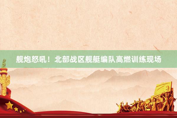 舰炮怒吼!北部战区舰艇编队高燃训练现场