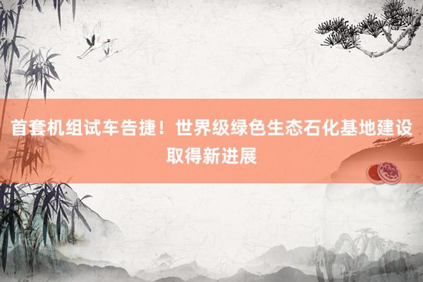 首套机组试车告捷！世界级绿色生态石化基地建设取得新进展