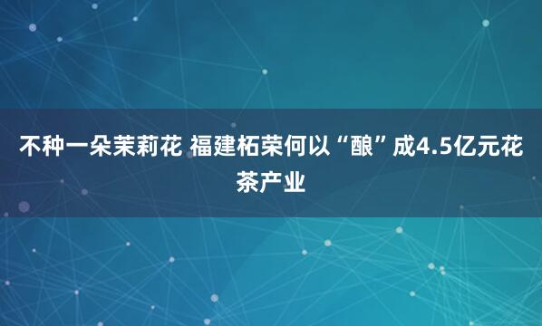 不种一朵茉莉花 福建柘荣何以“酿”成4.5亿元花茶产业