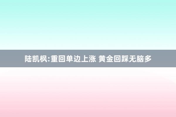 陆凯枫:重回单边上涨 黄金回踩无脑多