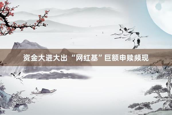 资金大进大出 “网红基”巨额申赎频现