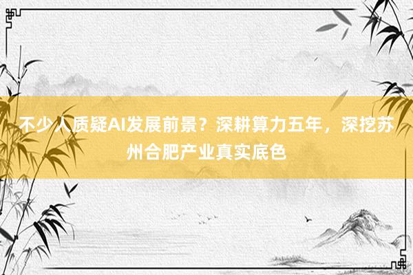 不少人质疑AI发展前景？深耕算力五年，深挖苏州合肥产业真实底色