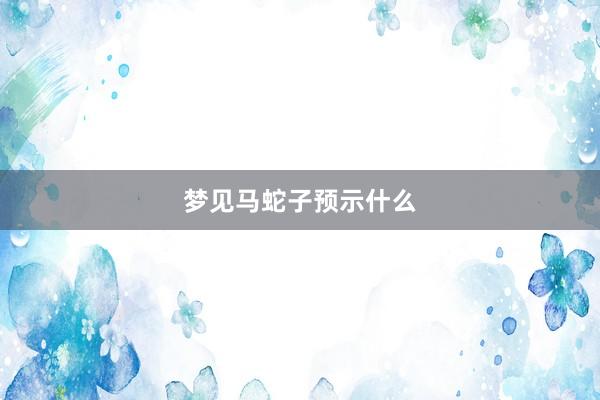 梦见马蛇子预示什么