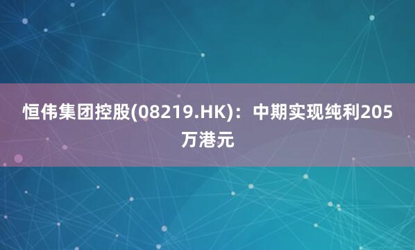 恒伟集团控股(08219.HK)：中期实现纯利205万港元