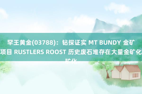 罕王黄金(03788)：钻探证实 MT BUNDY 金矿项目 RUSTLERS ROOST 历史废石堆存在大量金矿化