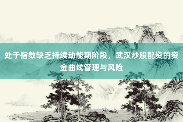 处于指数缺乏持续动能期阶段，武汉炒股配资的资金曲线管理与风险