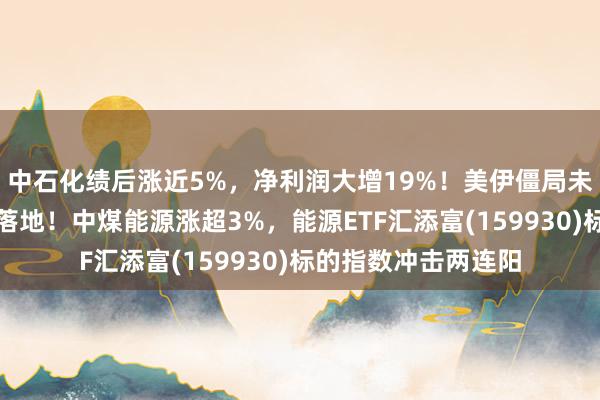 中石化绩后涨近5%，净利润大增19%！美伊僵局未解，焦炭首轮提涨落地！中煤能源涨超3%，能源ETF汇添富(159930)标的指数冲击两连阳