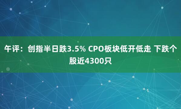午评:创指半日跌3.5% CPO板块低开低走 下跌个股近4300只