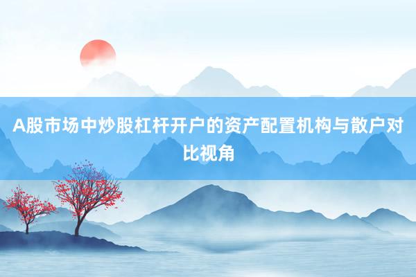 A股市场中炒股杠杆开户的资产配置机构与散户对比视角