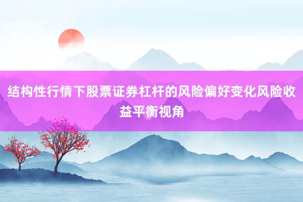 结构性行情下股票证券杠杆的风险偏好变化风险收益平衡视角