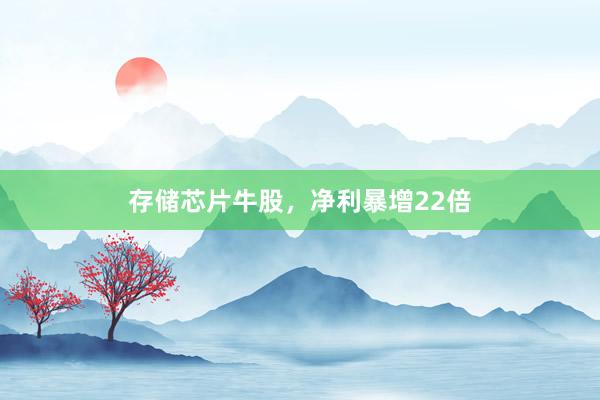 存储芯片牛股，净利暴增22倍