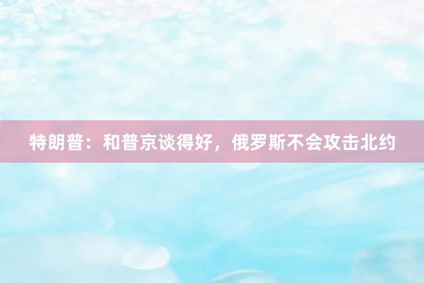 特朗普：和普京谈得好，俄罗斯不会攻击北约