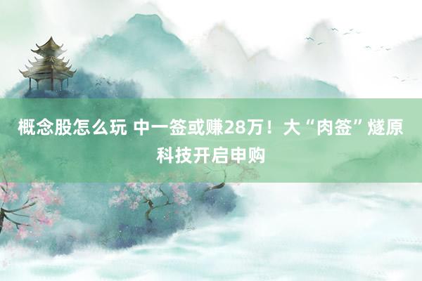 概念股怎么玩 中一签或赚28万！大“肉签”燧原科技开启申购