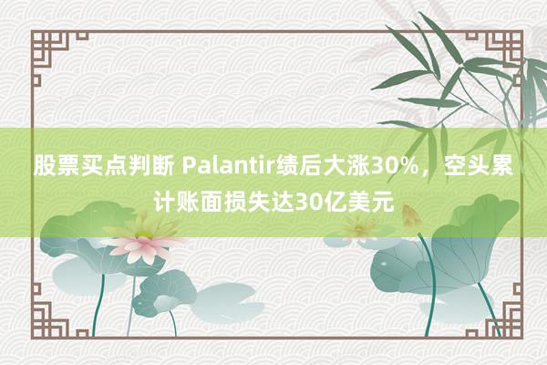 股票买点判断 Palantir绩后大涨30%，空头累计账面损失达30亿美元