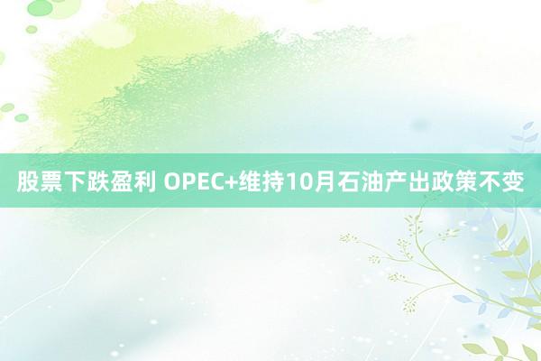 股票下跌盈利 OPEC+维持10月石油产出政策不变