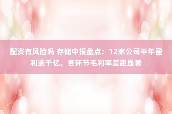 配资有风险吗 存储中报盘点：12家公司半年盈利逾千亿，各环节毛利率差距显著