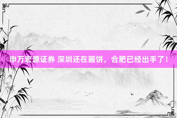 申万宏源证券 深圳还在画饼，合肥已经出手了！