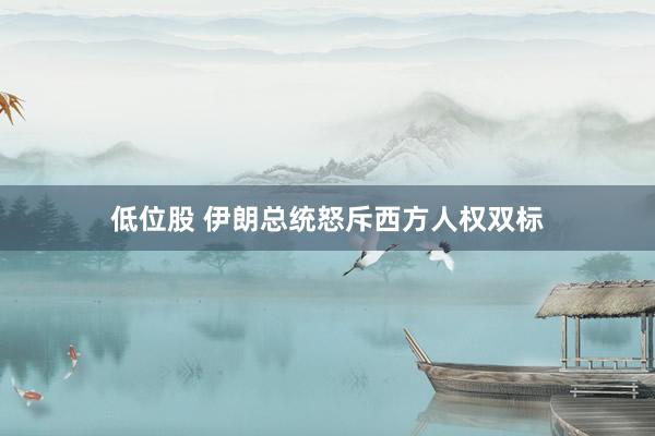 低位股 伊朗总统怒斥西方人权双标