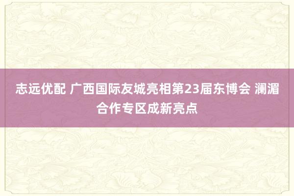 志远优配 广西国际友城亮相第23届东博会 澜湄合作专区成新亮点