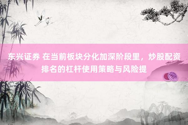 东兴证券 在当前板块分化加深阶段里，炒股配资排名的杠杆使用策略与风险提