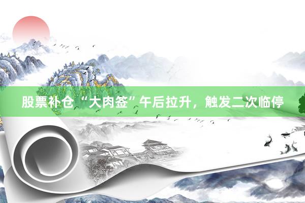 股票补仓 “大肉签”午后拉升，触发二次临停