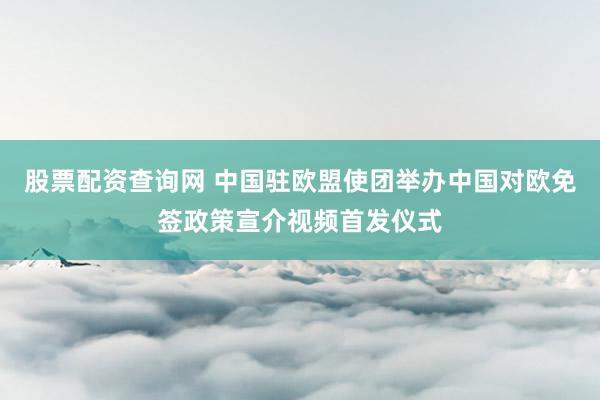 股票配资查询网 中国驻欧盟使团举办中国对欧免签政策宣介视频首发仪式